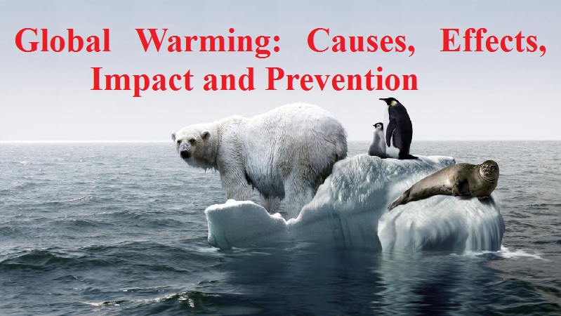 Global Warming Causes Effects Impact And Prevention Gbs Note