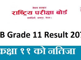 NEB Grade 11 Result 2076