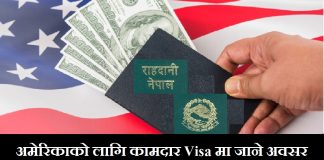 US Temporary Worker Visas