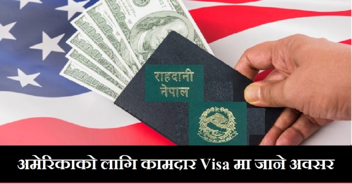 US Temporary Worker Visas