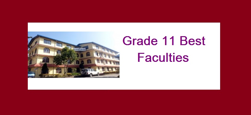 grade 11 best faculties