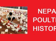 NEPAL POULTRY HISTORY