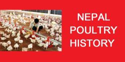 NEPAL POULTRY HISTORY