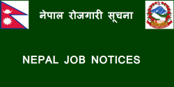 nepal jobs information