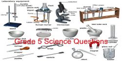 grade five science