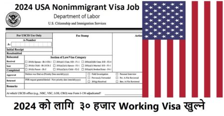 2024 USA Nonimmigrant Visa Job