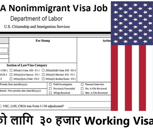 2024 USA Nonimmigrant Visa Job
