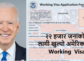 22000 Working Visa for USA