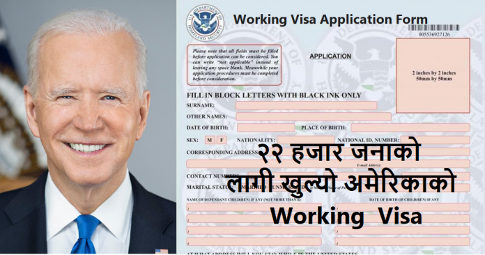 22000 Working Visa for USA