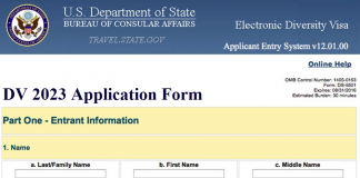 DV 2023 Application Form