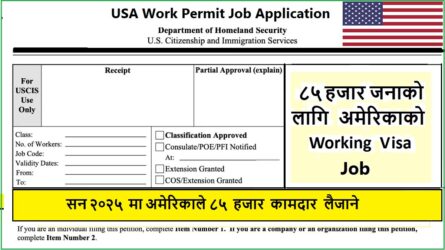 h1b work permit visa for usa