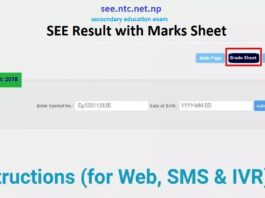 SEE Result with Marks Sheet