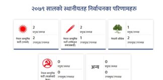 Nepal Local Level Election Result