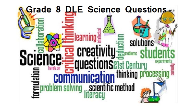 grade eight dle science questions