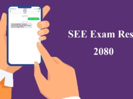 SEE Exam Result 2080
