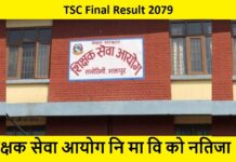 TSC Final Result 2079