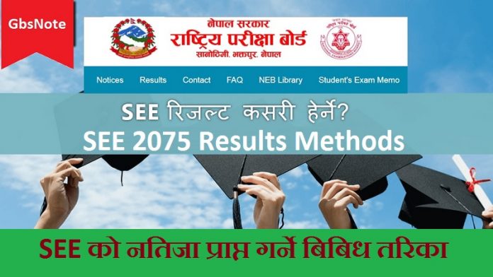 SEE 2075 Results Methods