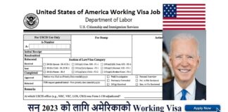 United States of America Working Visa Job