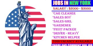 American Working Visa Job