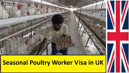 Seasonal Poultry Worker Visa in UK