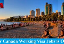 Canada Working Visa Jobs
