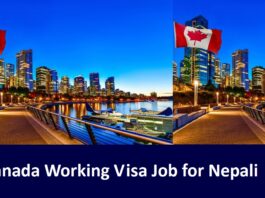 Canada Working Visa Job for Nepali