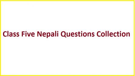 Class Five Nepali Questions Collection