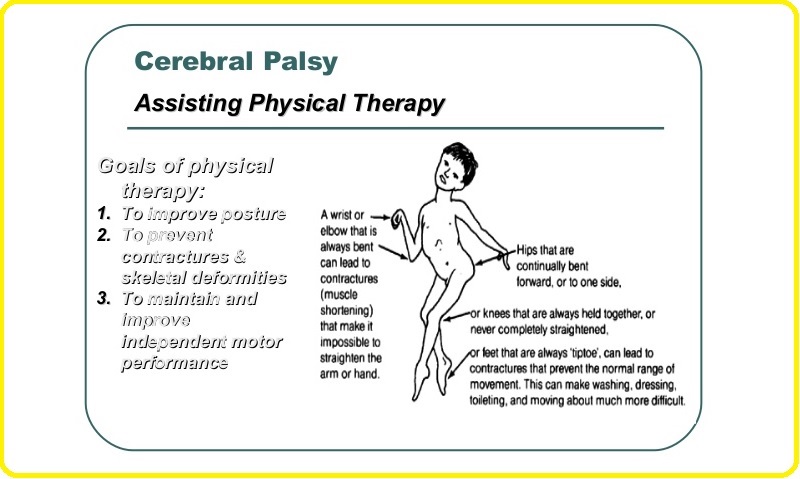 CP Child Physiotherapy Assessment