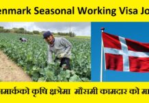 Denmark Seasonal Working Visa Job