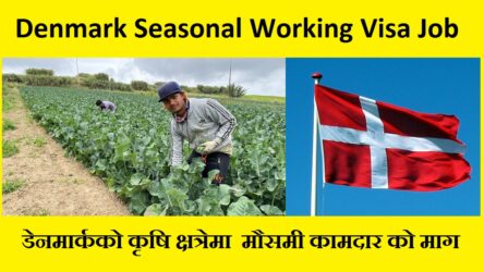Denmark Seasonal Working Visa Job