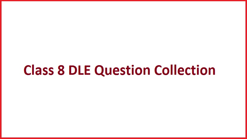 Class 8 DLE Question Collection