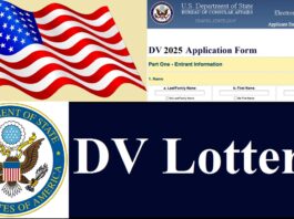 How to Fill EDV 2025 Online Form