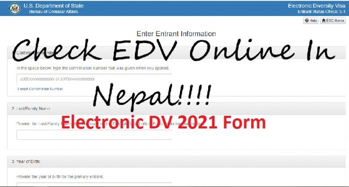 Electronic DV 2021 Form