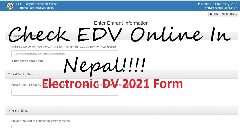 Electronic DV 2021 Form
