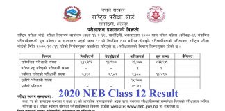 2020 NEB Class 12 Result