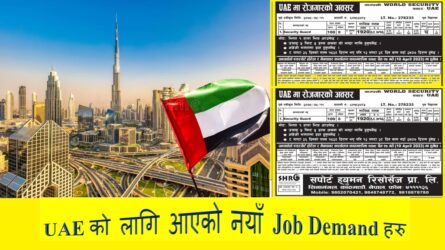 Teaching Job in UAE