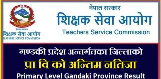 Primary Level Gandaki Province Result