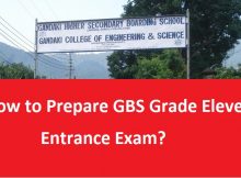 GBS grade eleven entrance exam