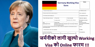 Germany Working Visa Guide