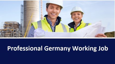 Professional Germany Working Job