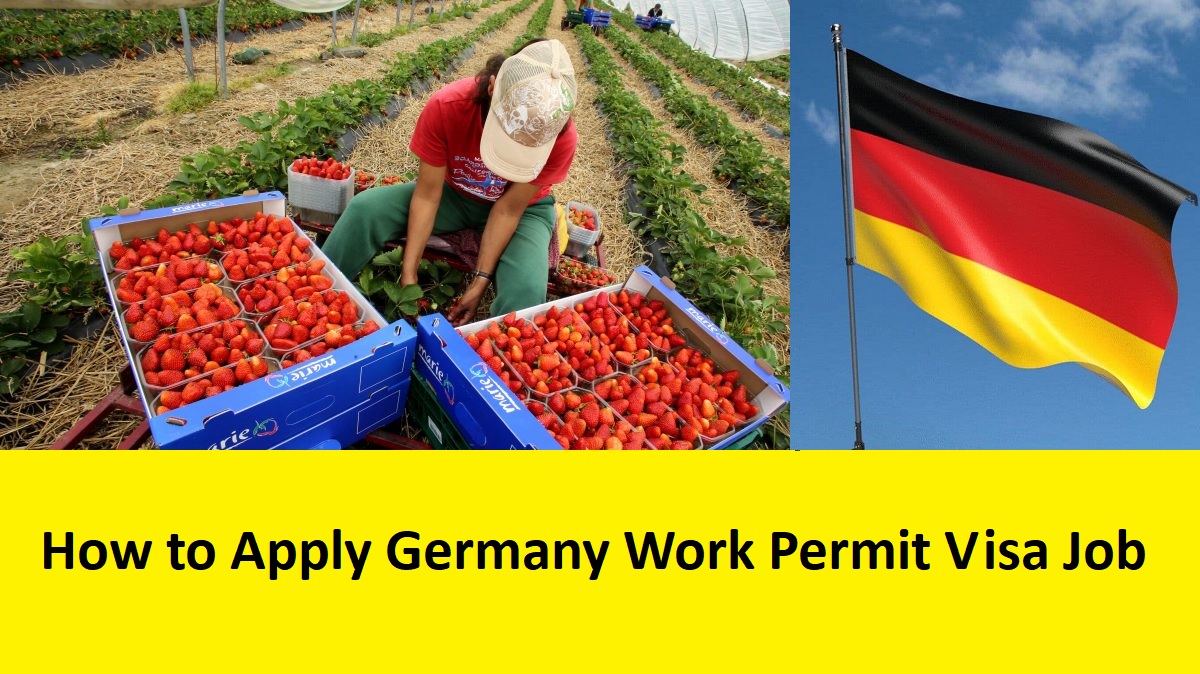 How to Apply Germany Work Permit Visa Job