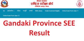 Gandaki Province SEE Result