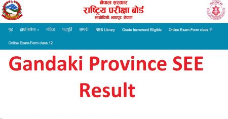 Gandaki Province SEE Result
