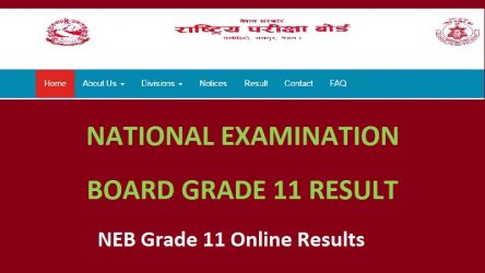 NEB Grade 11 Online Results