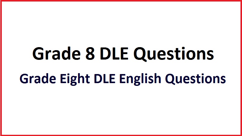 Grade Eight DLE English Questions