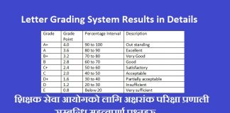 Letter Grading System Results in Details