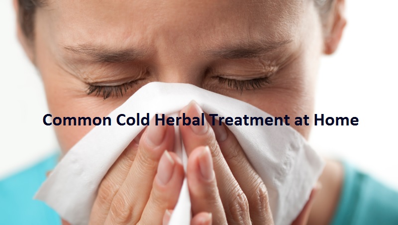 Common Cold Herbal Treatment at Home