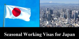 Seasonal Working Visas for Japan