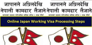 Online Japan Working Visa Processing Steps