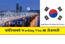 South Korea Working Visa Process